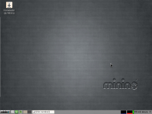 minino4