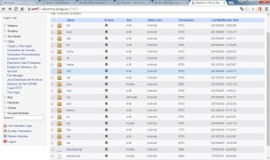 file manager